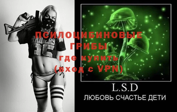 ешки Медногорск