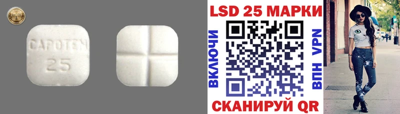 Лсд 25 экстази ecstasy  Купить где  Лесной 