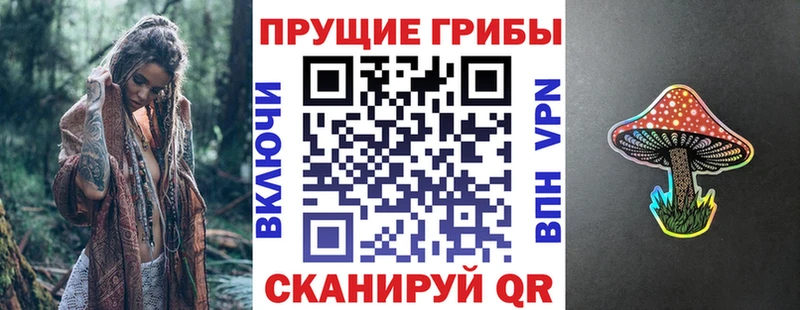 Галлюциногенные грибы прущие грибы  Купить  Лесной 