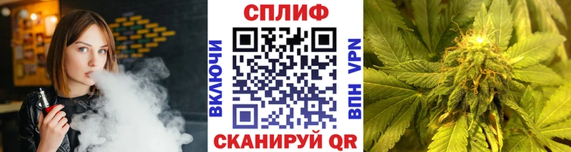 Конопля гибрид  Купить где  Лесной 